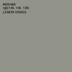 #92948A - Lemon Grass Color Image